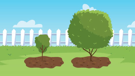 growing trees in a garden