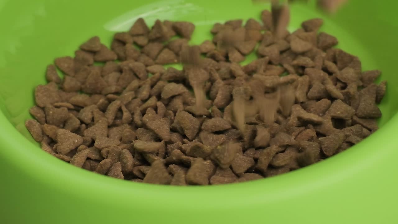 toma en cámara lenta tazón verde que se llena con granos crujientes para alimentos para mascotas - primer plano