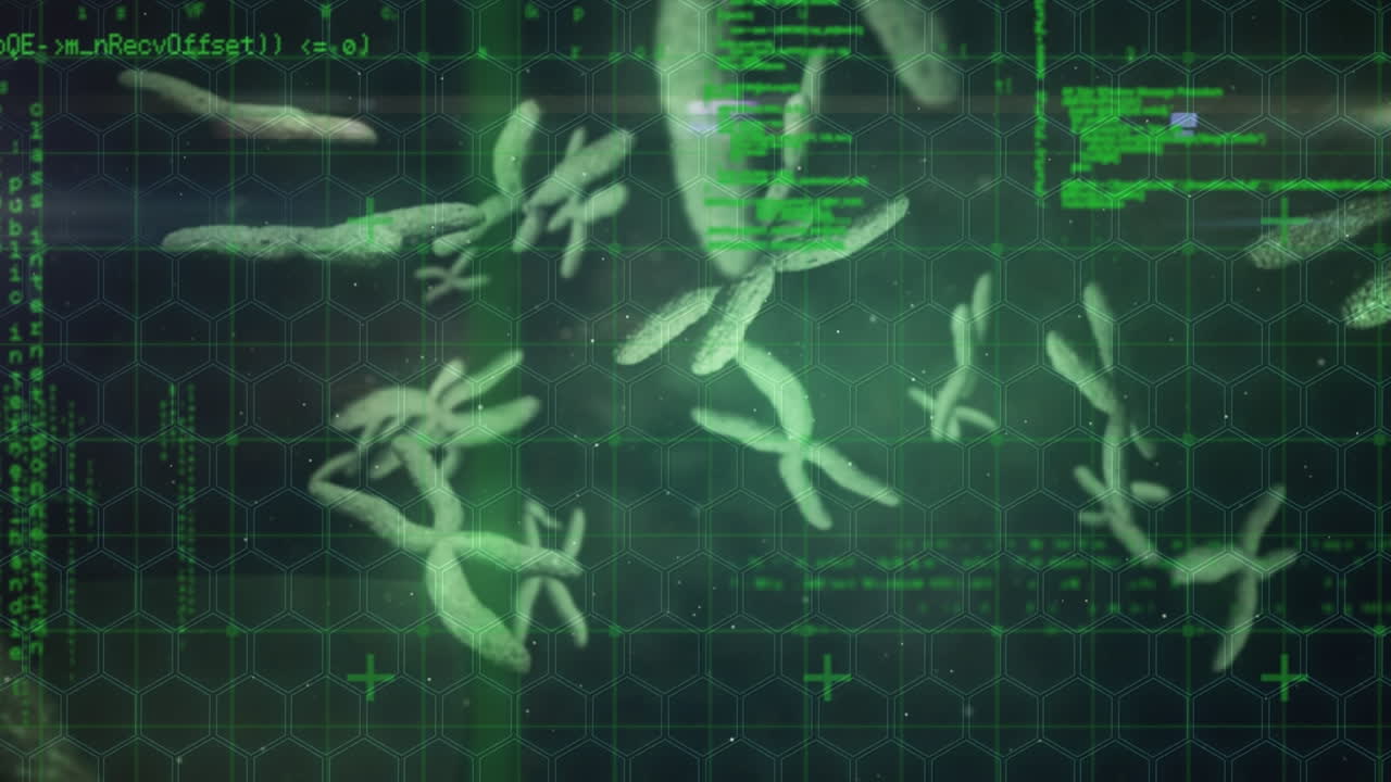 dna를 염색체 위에 올려서 다크 그린 바탕에 데이터를 처리하는 애니메이션