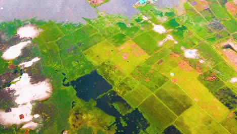 aerial view of green texture cultivated field, wetland landscape view