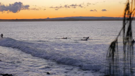 Surfistas-Disfrutando-De-Las-Olas-Del-Océano-De-La-Playa-De-Little-Cove-En-Queensland,-Australia-Al-Atardecer