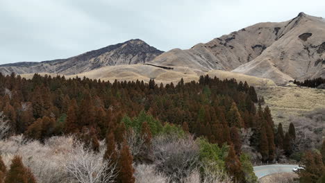 drone flight over lush trees in aso, kumamoto prefecture, japan, showcasing the stunning natural landscape of mountains and hills