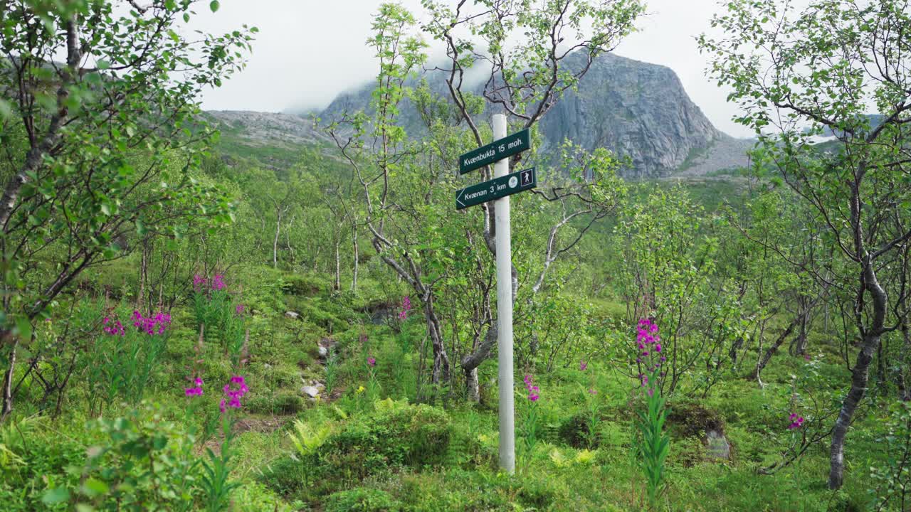 A Lovely Panorama of Flourishing Blossoms and Lush Foliage in Kv&aelig;nan, Norway - Wide Shot