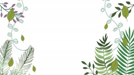 animación de plantas sobre un fondo blanco