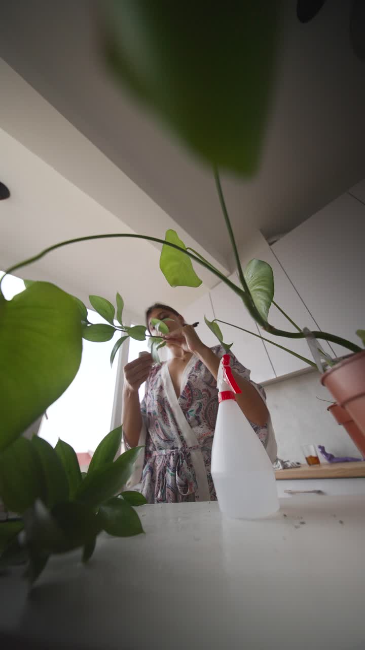 Woman caring for houseplants in the kitchen
