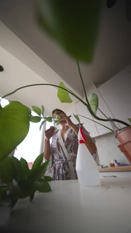 woman caring for houseplants in the kitchen