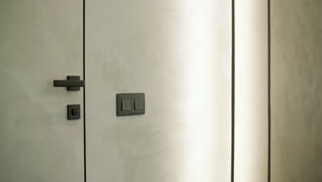 una puerta invisible. la estructura de la puerta es sin platbands con una caja oculta. el mango de la puerta.