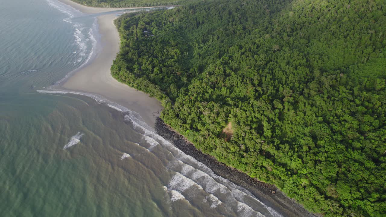 playa de arena y vegetación costera en el parque nacional daintree, lejano norte de queensland, australia - toma aérea de drones