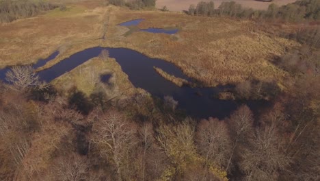 the banks of the meandering river overgrown with reeds and trees on a sunny autumn day-2