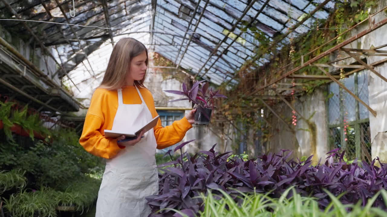 mujer examinando una planta en un invernadero