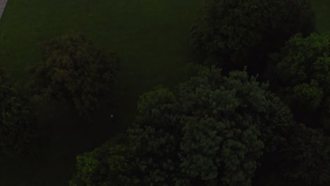 munich at the sunrise - drone shot swing up to the famous architecture of the monopteros with office buildings and the raising sun in background