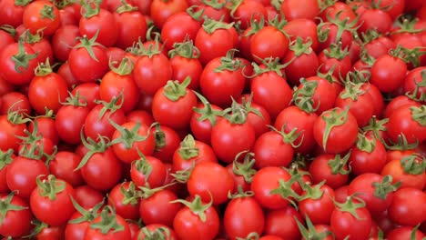 un montón de tomates cereza frescos