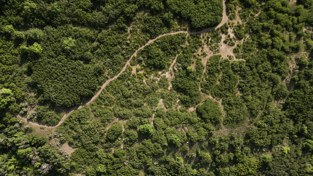 vista satelital de arriba hacia abajo de los senderos de tierra en la ladera de la cordillera wasatch