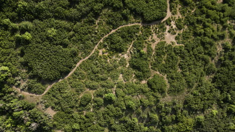 satellite top-down view of dirt trails on the mountainside of the wasatch mountain range