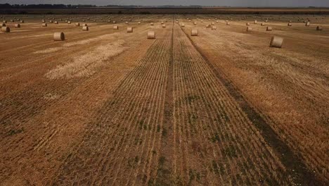 hay bales in a field