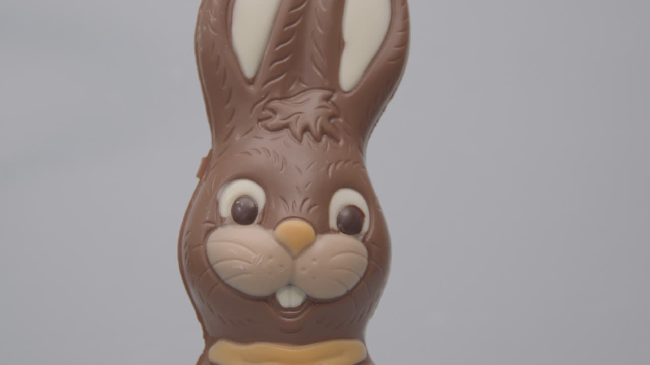 Coelho da Páscoa de chocolate contra um fundo branco - em close-up