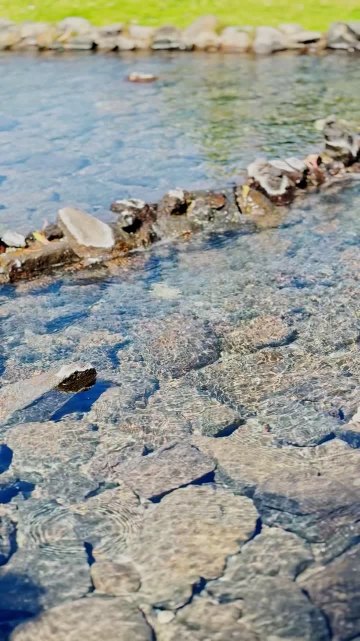 Ruscello di un giardino Zen con pietre lisce