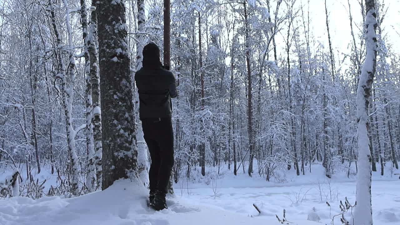 Man with black clothing walking up to a tree covered in thick white snow and shaking it making the snow fall down on the winter snowy ground from the air in slow motion. Trees covered with white snow.
