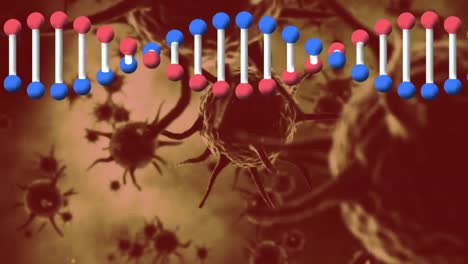 animation of dna strand spinning and macro covid 19 cells