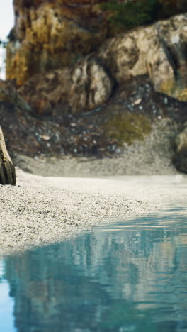 tranquil beach scene