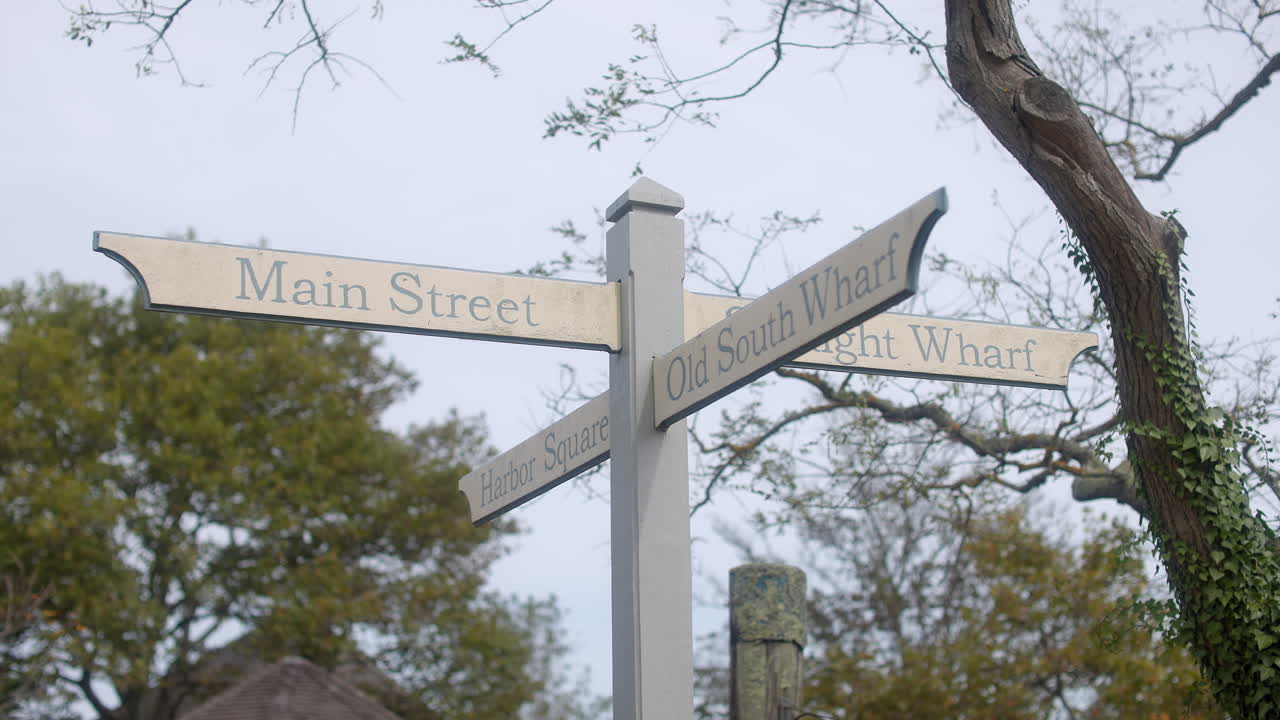 Ripresa a mano libera di una classica indicazione stradale di Nantucket che indica Main Street e Old South Wharf, incorniciata da alberi ricoperti di edera in una morbida luce costiera.