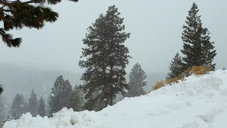 Vista-Panorámica-Del-Paisaje-Cubierto-De-Nieve-De-Abetos-Durante-Las-Nevadas-En-El-Desierto-Al-Aire-Libre-De-Boise,-Idaho,-EE.UU.