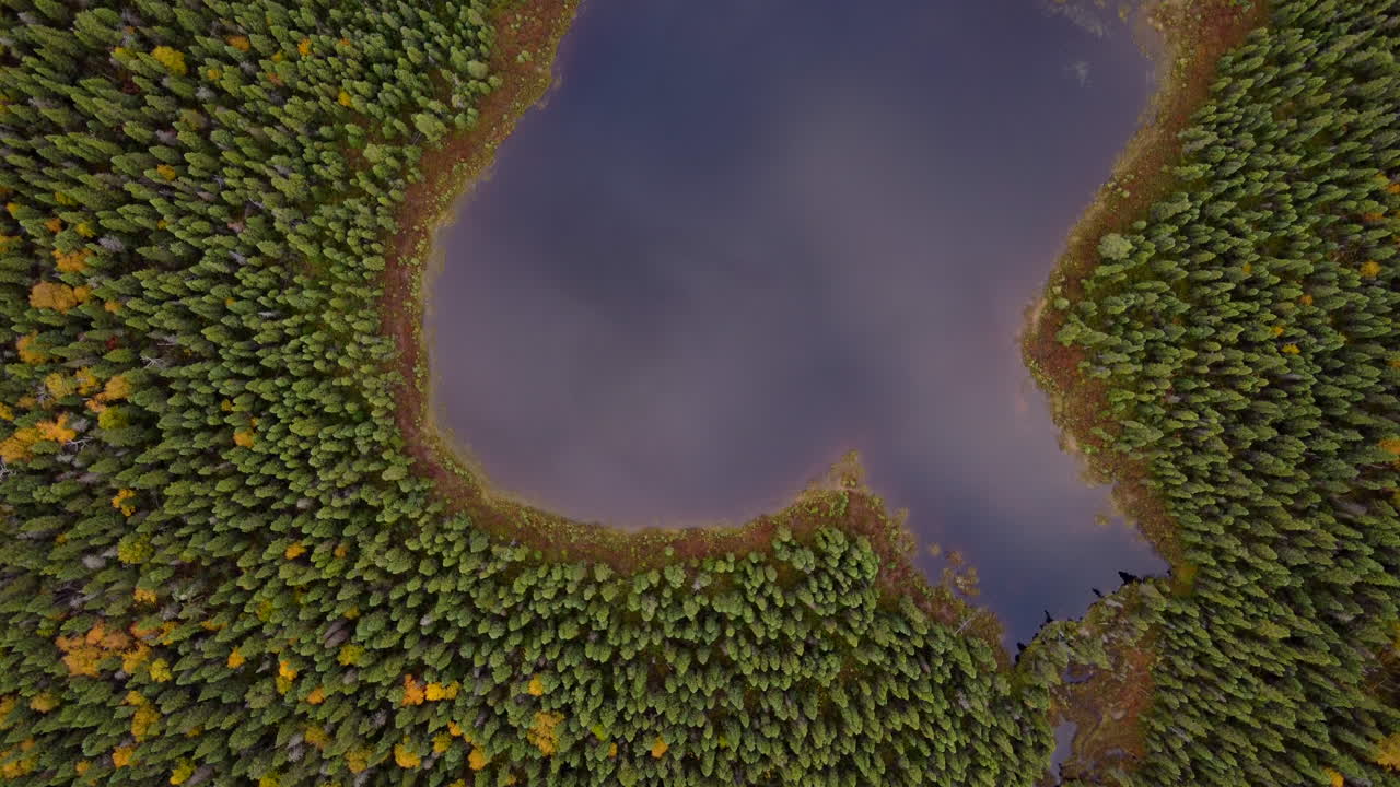съемка с дрона над озером осенью