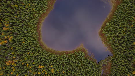 disparo de dron sobre el lago en otoño
