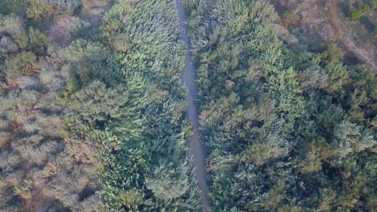 요르단 강 (jordan river) 과 베이트 샤인 계곡 (beit shein valley) 의 공중 영상