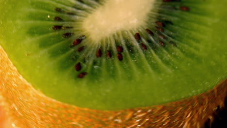 kiwi turning in close up