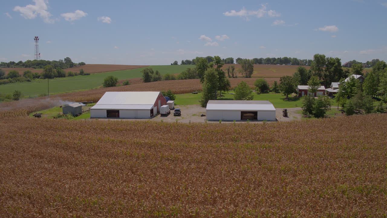antena de una granja con una leñera y una carretilla elevadora que se dirige a obtener madera