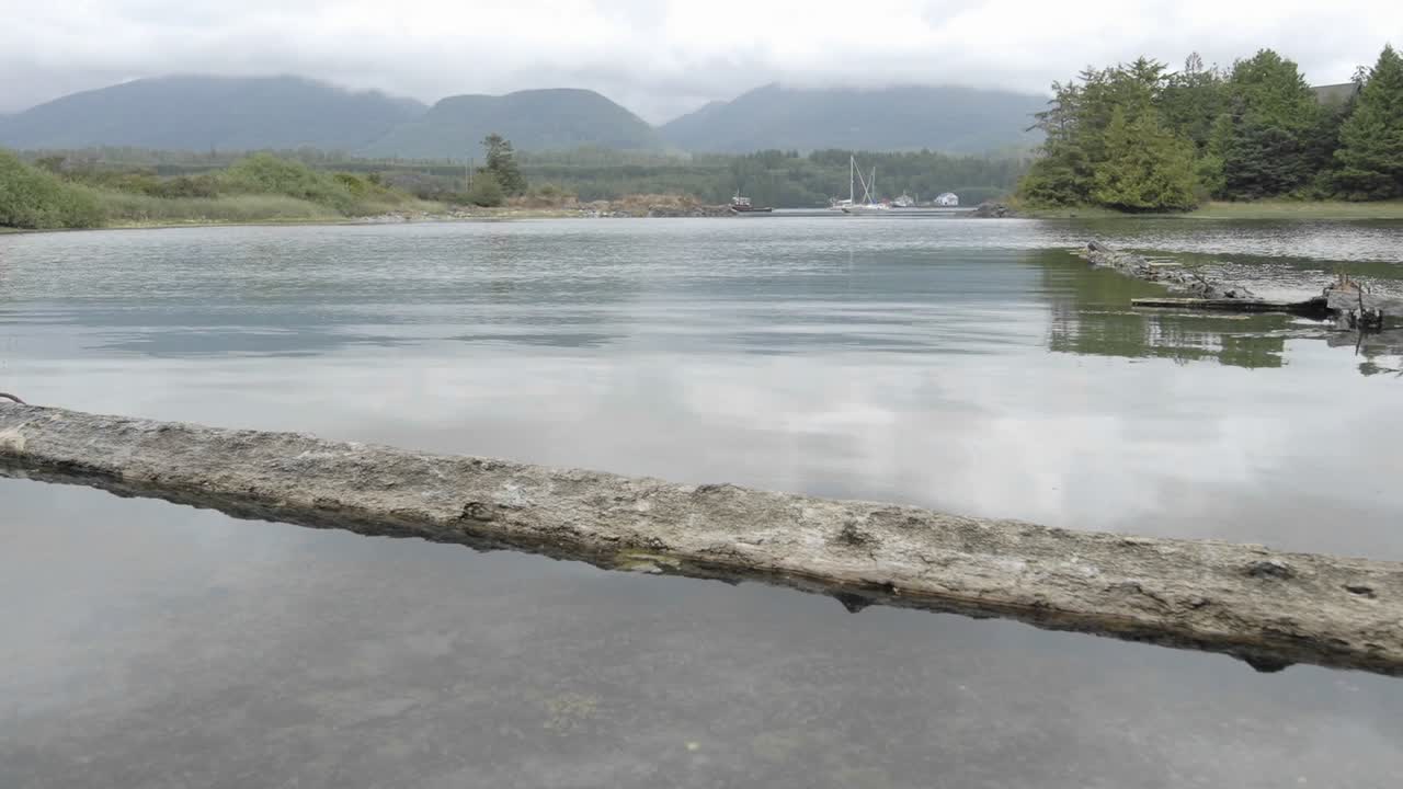 캐나다 브리티시 컬럼비아 밴쿠버 섬의 ucluelet 항구에서 들어오는 조수의 시간 경과