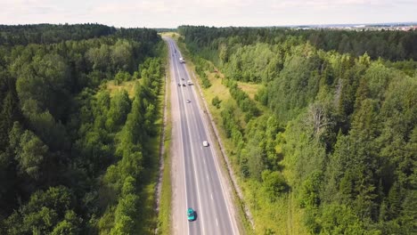 highway through a forest