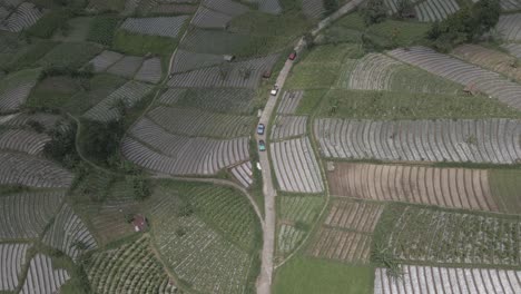 aerial view, jeep tour passing through mountains in vegetable fields in tawangmangu, indonesia