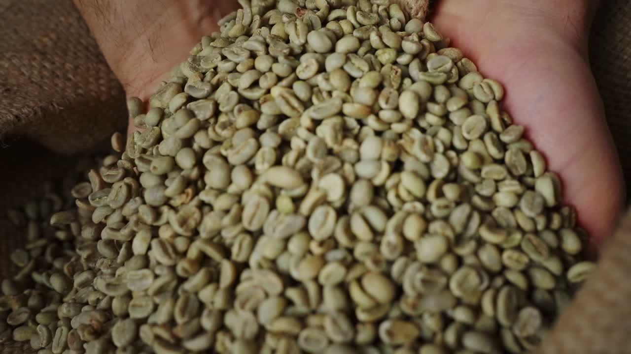 Fagioli di caffè verdi in mano