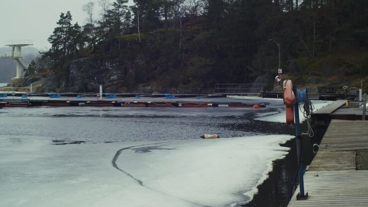 Frozen fjord in Eidanger, Døvika Båthavn, Norway