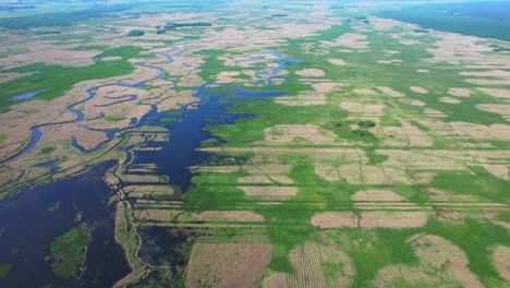 the backwaters of the biebrza river seen from a great height