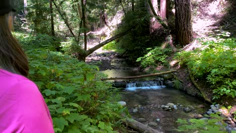 ältere-Erwachsene-Asiatische-Frau-In-Rosa-Hemd-Schaut-Auf-Kleinen-Wasserfall-Und-Strom,-Während-Die-Kamera-Langsam-Nach-Links-Schwenkt-Und-Eine-Wunderschöne-Landschaft-Enthüllt