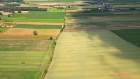 Abstrakte-Geometrische-Formen-Landwirtschaftlicher-Parzellen-Verschiedener-Kulturen-In-Gelben-Und-Grünen-Farben