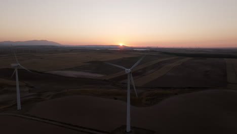 wind farm at sunset