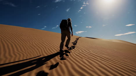 person hiking in the desert