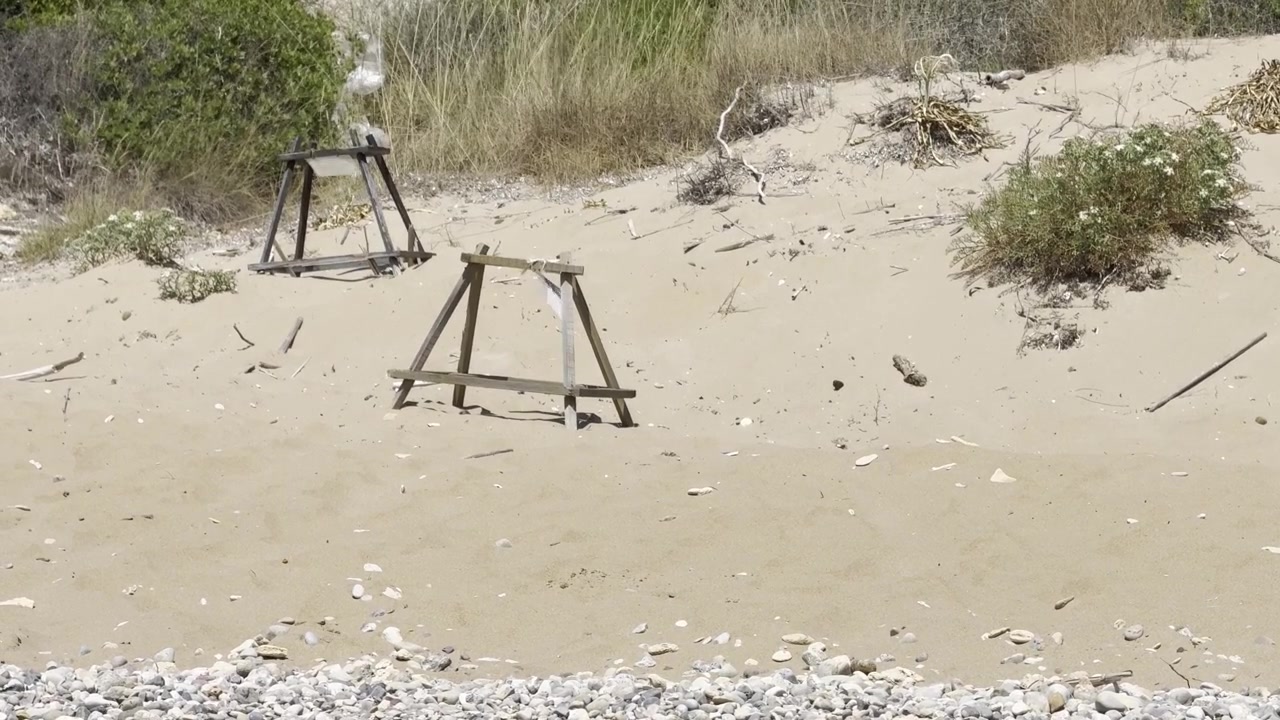 Nido di tartaruga marina Caretta Caretta contrassegnato da una scatola di protezione in legno nella sabbia a Zante, Grecia, durante l'estate