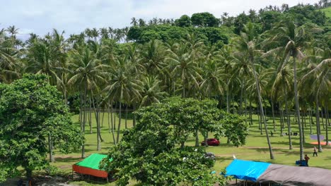 Turistas-Relajándose-En-Un-Campo-Tropical-De-Cocoteros-En-Senggigi-Lombok,-Antena