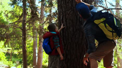 padre e hijo tocando el tronco del árbol en el parque