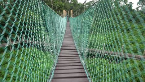 walk on the canopy walk bridge