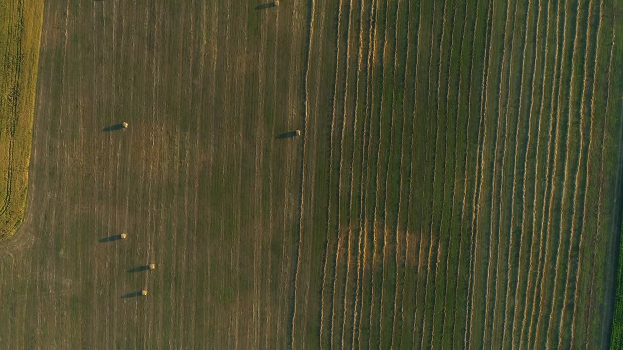 vista aérea balas de heno en el campo agrícola en verano al atardecer, pajar