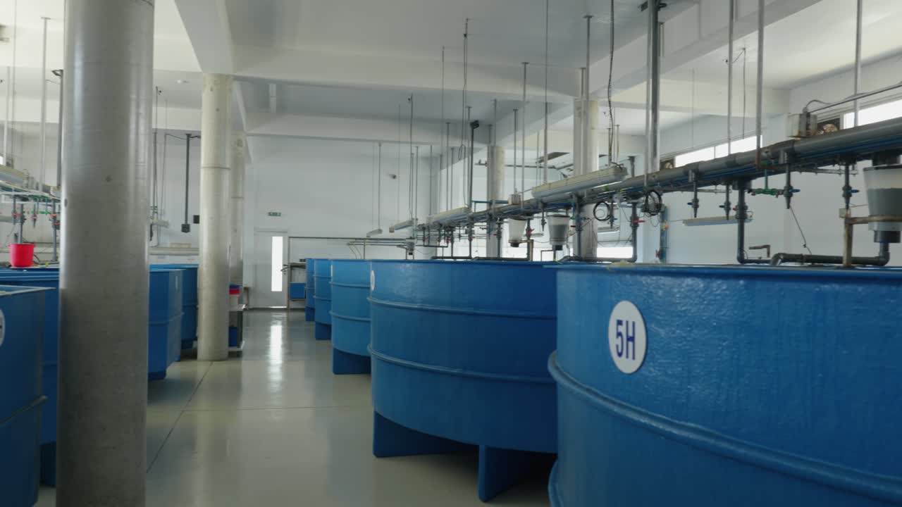 농업 생산 연못의 양어장 내부 와이드 패닝 샷