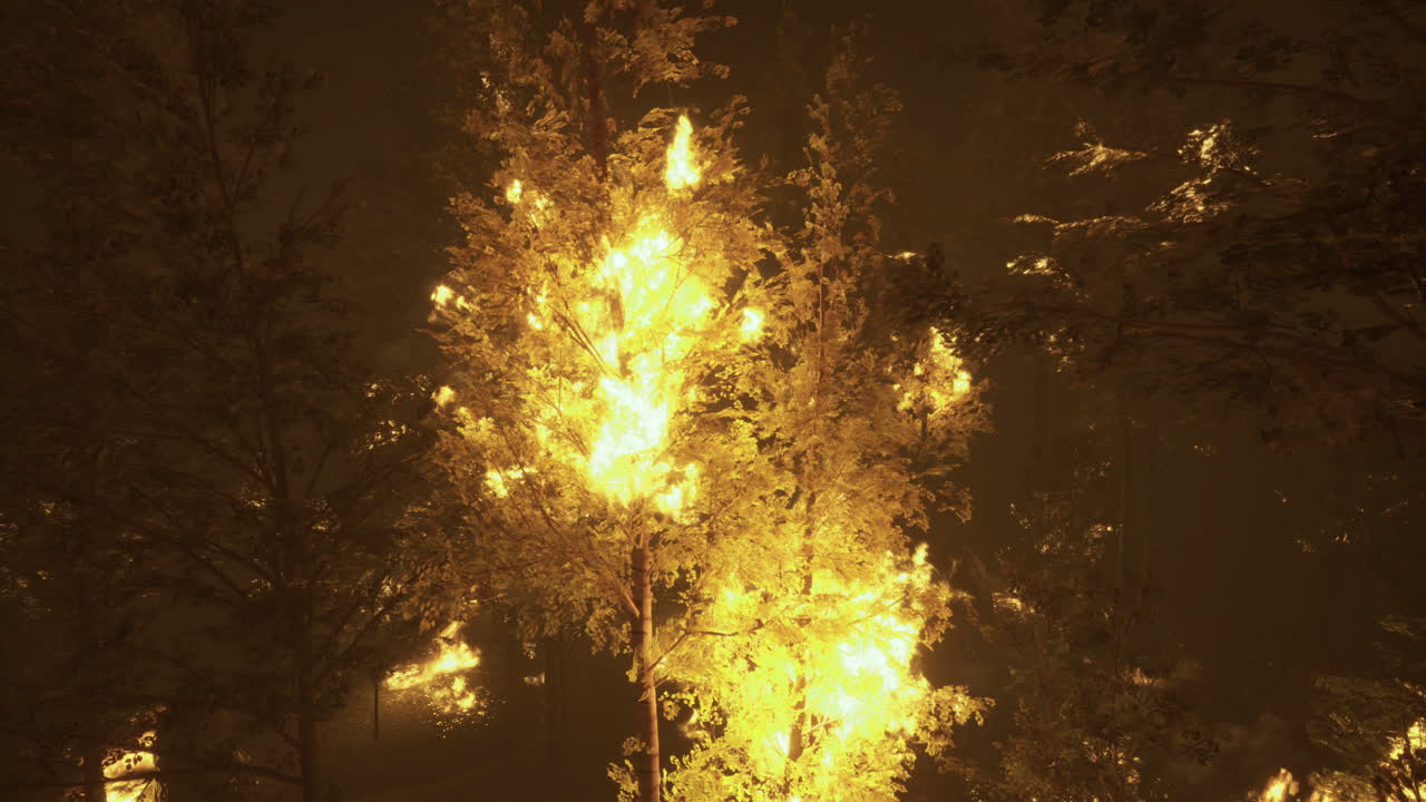 Bright foliage illuminated by light at night in a dense forest
