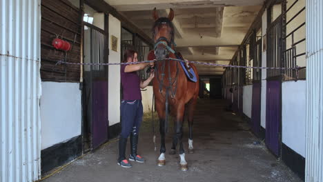 woman grooming a horse in a stable