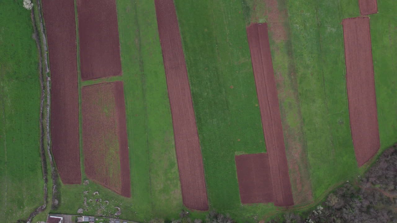 vista aérea de los campos verdes agrícolas